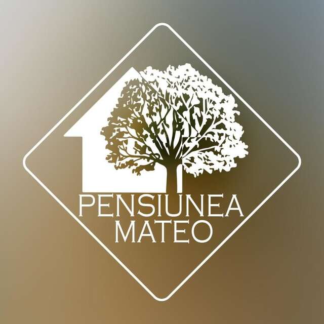 Гостевой дом La Mateo Кэлимэнешти-9